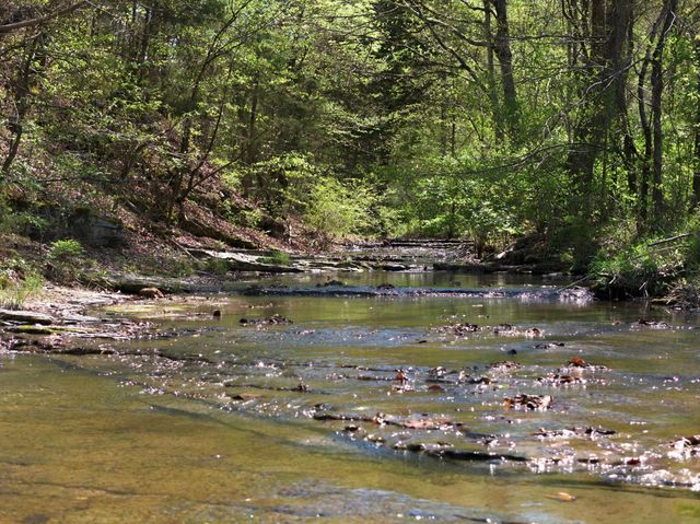 1075 Garland Hollow Rd, Pegram, TN 37143
