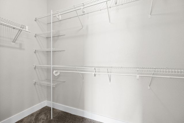 3013 Hawks Swoop TRL, Pflugerville, TX 78660