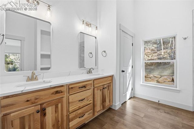 1015 Locklin Way, Woodland Park, CO 80863