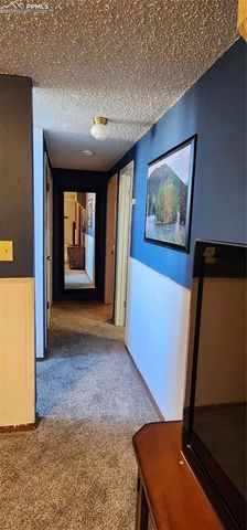 1555 Luna Vista Street, Colorado Springs, CO 80911