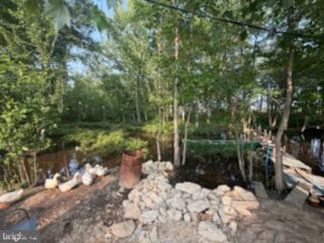 12439 US ROUTE 1 HWY, Woodford, VA 22580