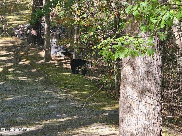 Lot 12-A Village Circle, Sevierville, TN 37862