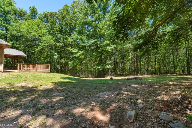 394 Brandish Drive, Newnan, GA 30263