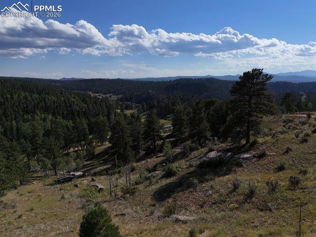 4687 W Highway 24, Florissant, CO 80816
