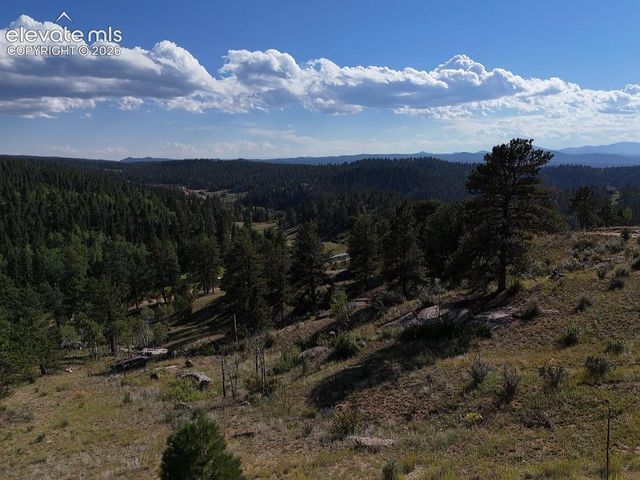 4687 W Highway 24, Florissant, CO 80816