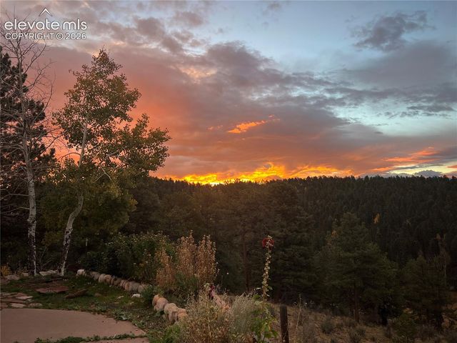 4687 W Highway 24, Florissant, CO 80816