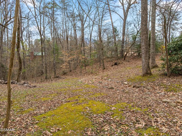 3840 Saddle Brook Way, Sevierville, TN 37862