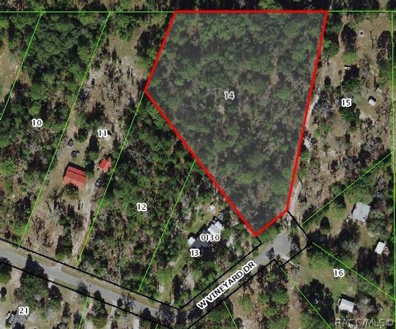 7305 W Vineyard Drive, Homosassa, FL 34448