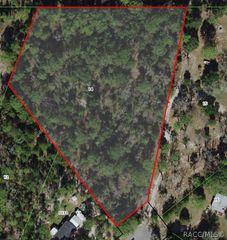 7305 W Vineyard Drive, Homosassa, FL 34448