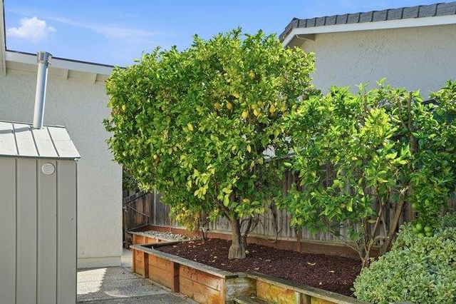 1523 Foster Court, San Jose, CA 95120