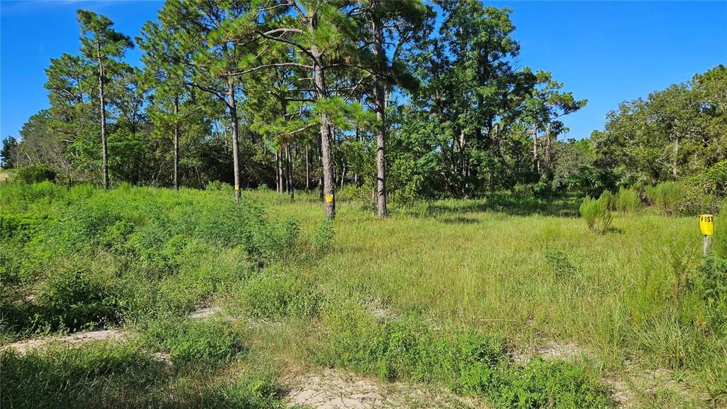 5462 S CLARA POINT, Homosassa, FL 34446
