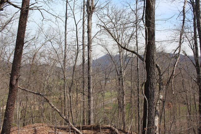 Lot 87A Licklog Ridge, Hayesville, NC 28904