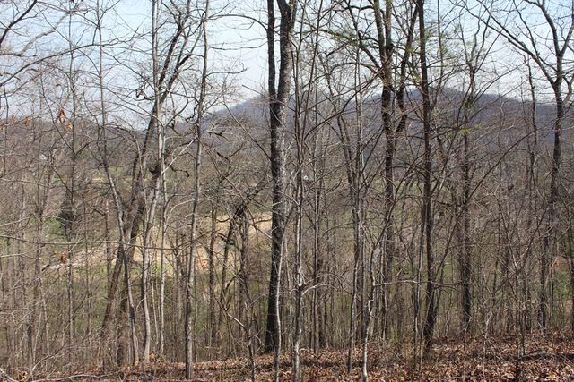 Lot 87A Licklog Ridge, Hayesville, NC 28904