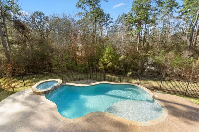 23211 Belted Kingfisher Trail, Spring, TX 77389