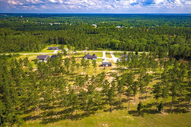309 Rolling Pines Drive, Livingston, TX 77351