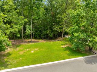 0 Roundtree Court, Flintstone, GA 30725