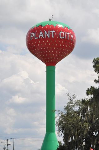 1325 E LAURA STREET, Plant City, FL 33563