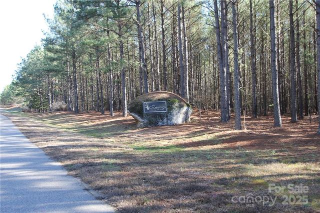 TBD Wilderness Trail, Lilesville, NC 28091