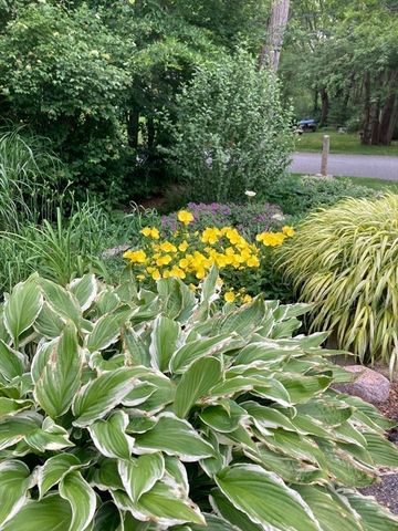 49 Great Hill Dr, Barnstable, MA 02668