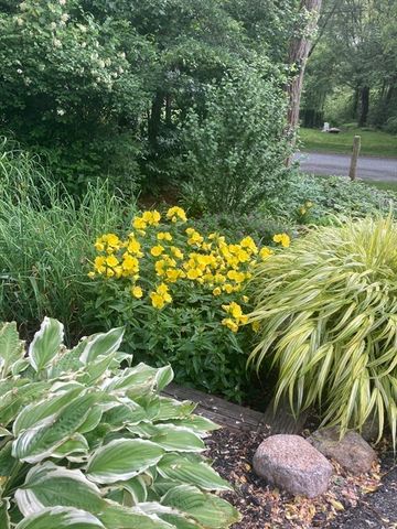 49 Great Hill Dr, Barnstable, MA 02668