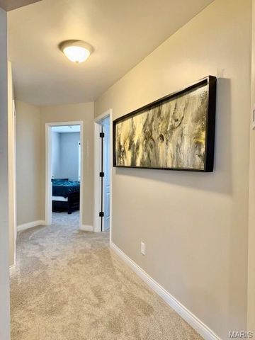 229 Gala Drive, Hannibal, MO 63401