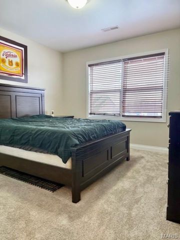 229 Gala Drive, Hannibal, MO 63401