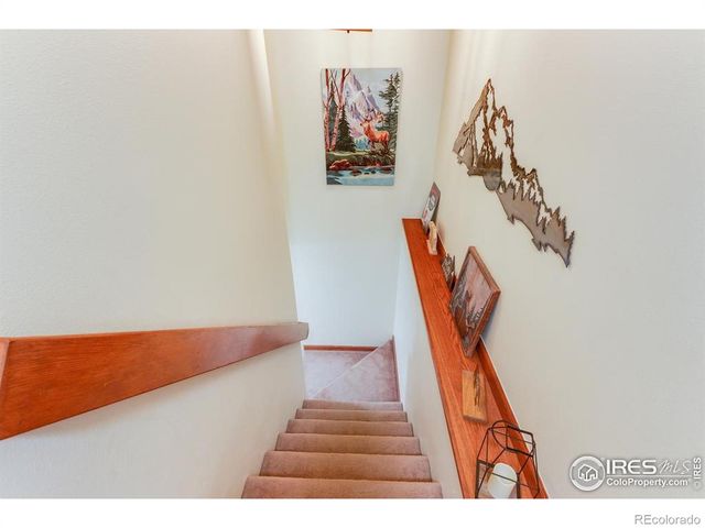 316 Big Horn Drive, Estes Park, CO 80517