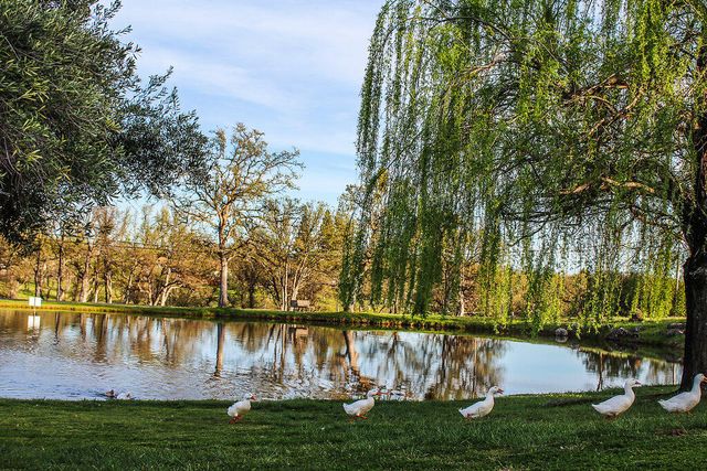 19175 Fjord Lane, Cottonwood, CA 96022