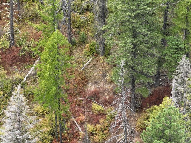 NNA Talache Black Trail, Sagle, ID 83860