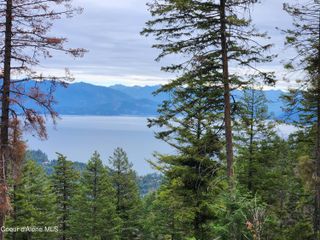 NNA Talache Black Trail, Sagle, ID 83860