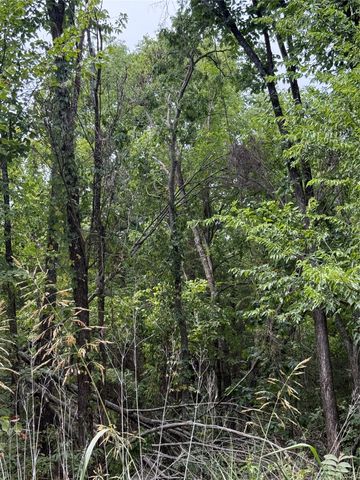 TBD 1 County Road 3040, Bonham, TX 75418