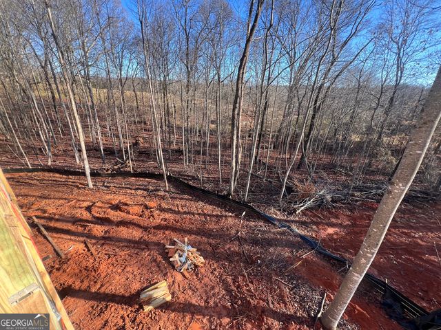 219 Signing Tree Lane, Clarkesville, GA 30523