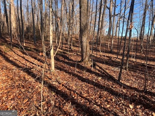 219 Signing Tree Lane, Clarkesville, GA 30523