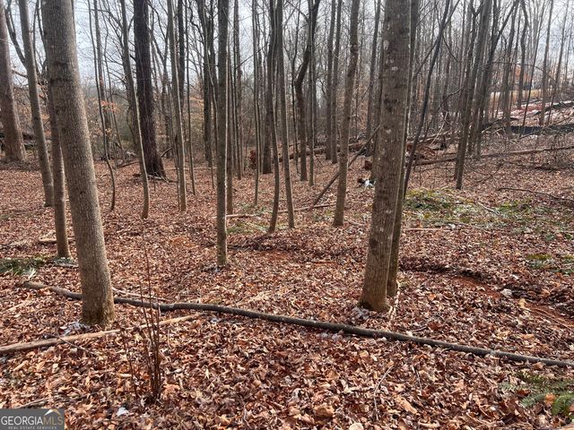 219 Signing Tree Lane, Clarkesville, GA 30523