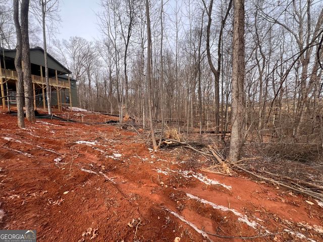 219 Signing Tree Lane, Clarkesville, GA 30523