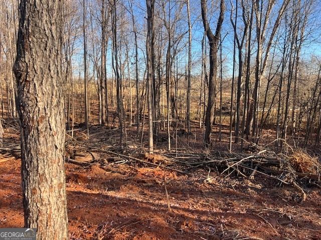 219 Signing Tree Lane, Clarkesville, GA 30523