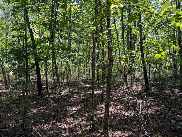 140 Sunset Bluff Way, Monteagle, TN 37356