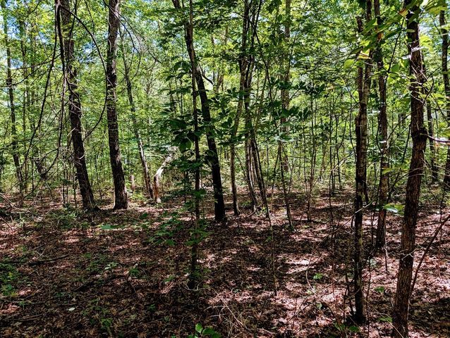 140 Sunset Bluff Way, Monteagle, TN 37356