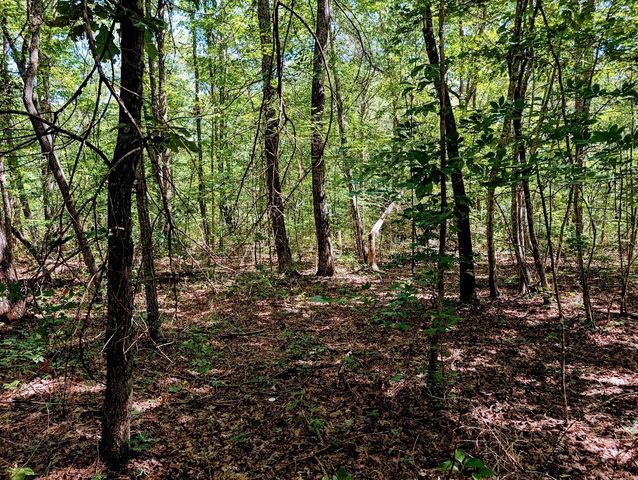 140 Sunset Bluff Way, Monteagle, TN 37356