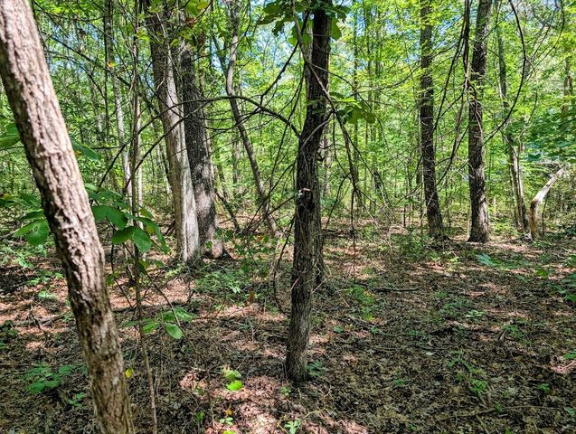 140 Sunset Bluff Way, Monteagle, TN 37356