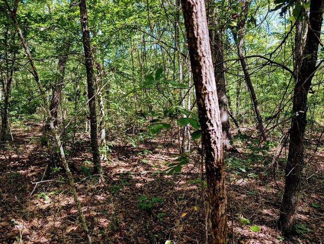 140 Sunset Bluff Way, Monteagle, TN 37356