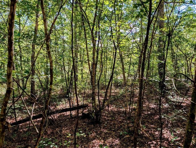 140 Sunset Bluff Way, Monteagle, TN 37356