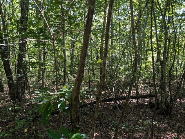 140 Sunset Bluff Way, Monteagle, TN 37356