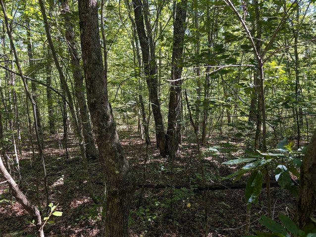 140 Sunset Bluff Way, Monteagle, TN 37356