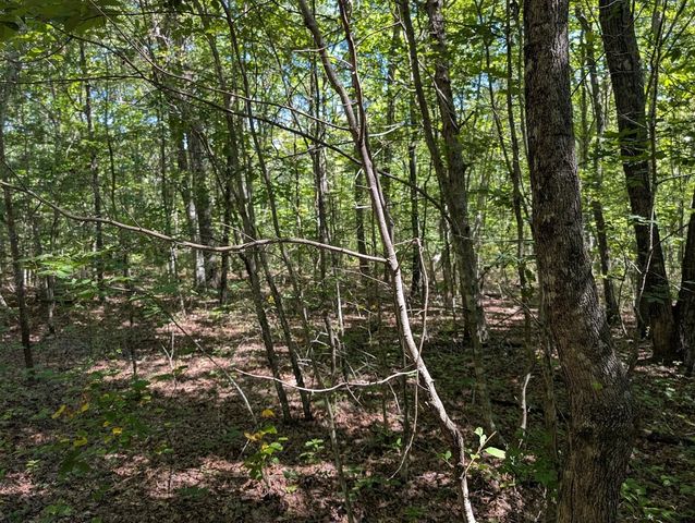 140 Sunset Bluff Way, Monteagle, TN 37356