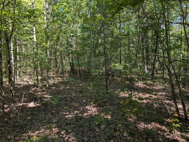 140 Sunset Bluff Way, Monteagle, TN 37356