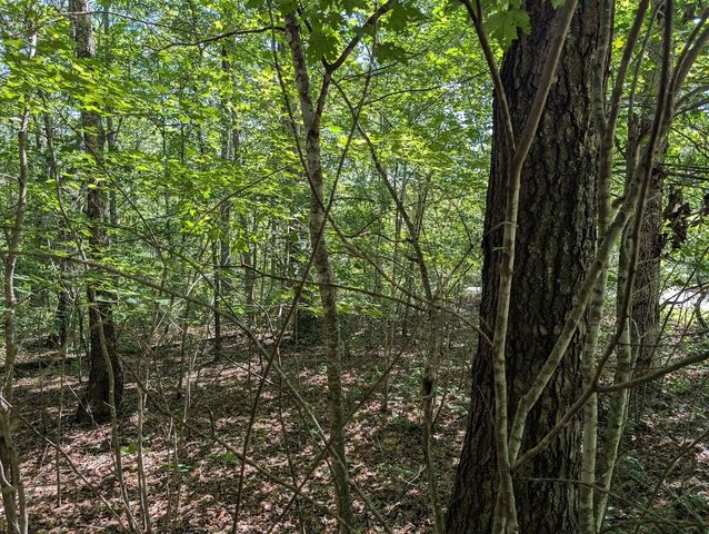 140 Sunset Bluff Way, Monteagle, TN 37356
