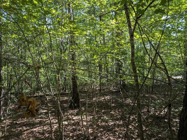 140 Sunset Bluff Way, Monteagle, TN 37356