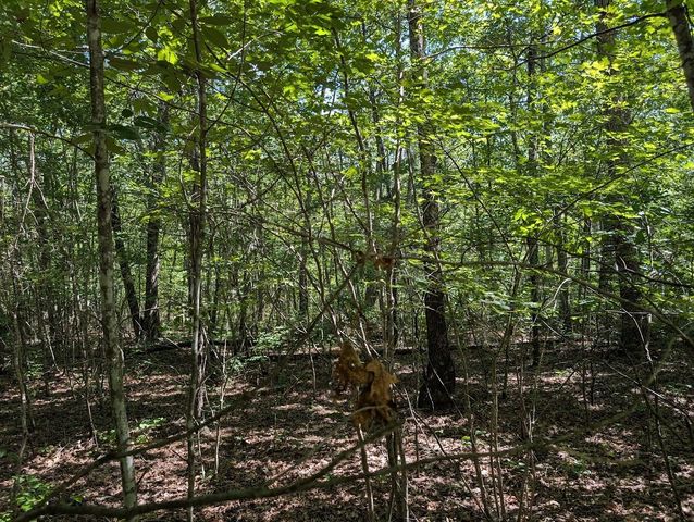 140 Sunset Bluff Way, Monteagle, TN 37356