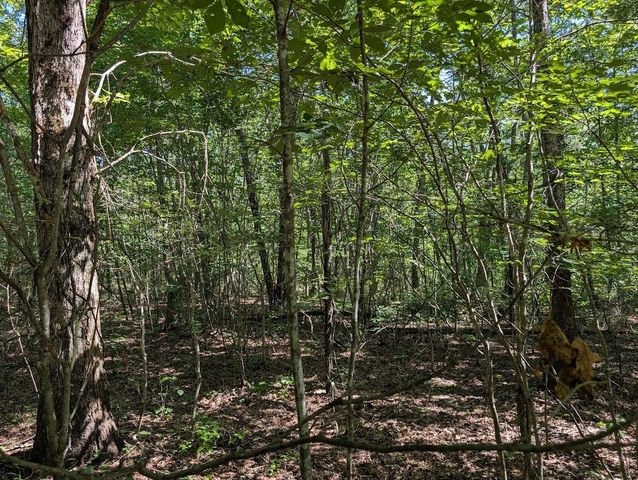 140 Sunset Bluff Way, Monteagle, TN 37356